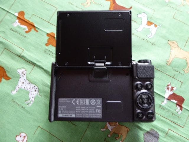 訳ありCanonSX730HS