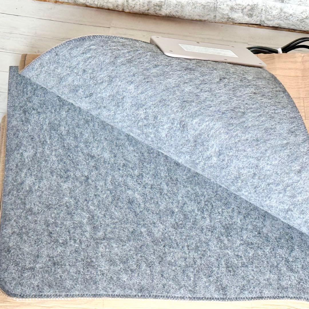TEKNOS 木目フローリング調ホットカーペット 3畳相当タイプ