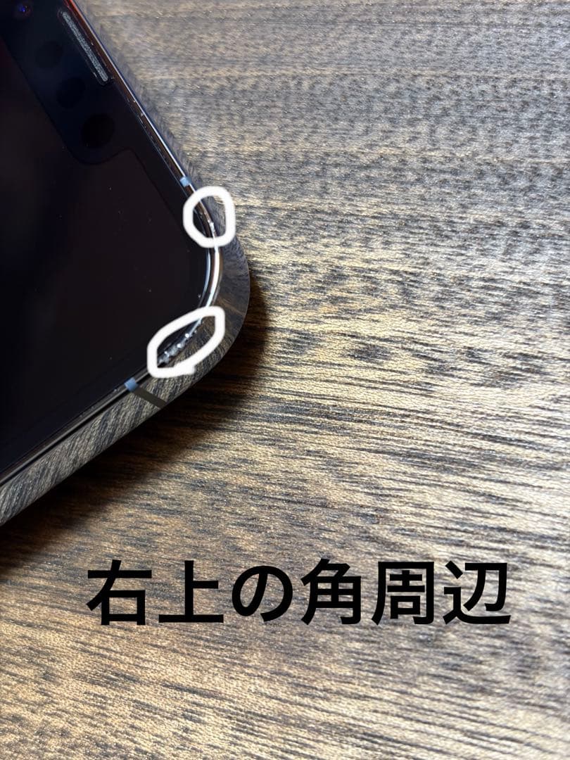 Apple iPhone 13 Pro 本体　256GB シエラブルー