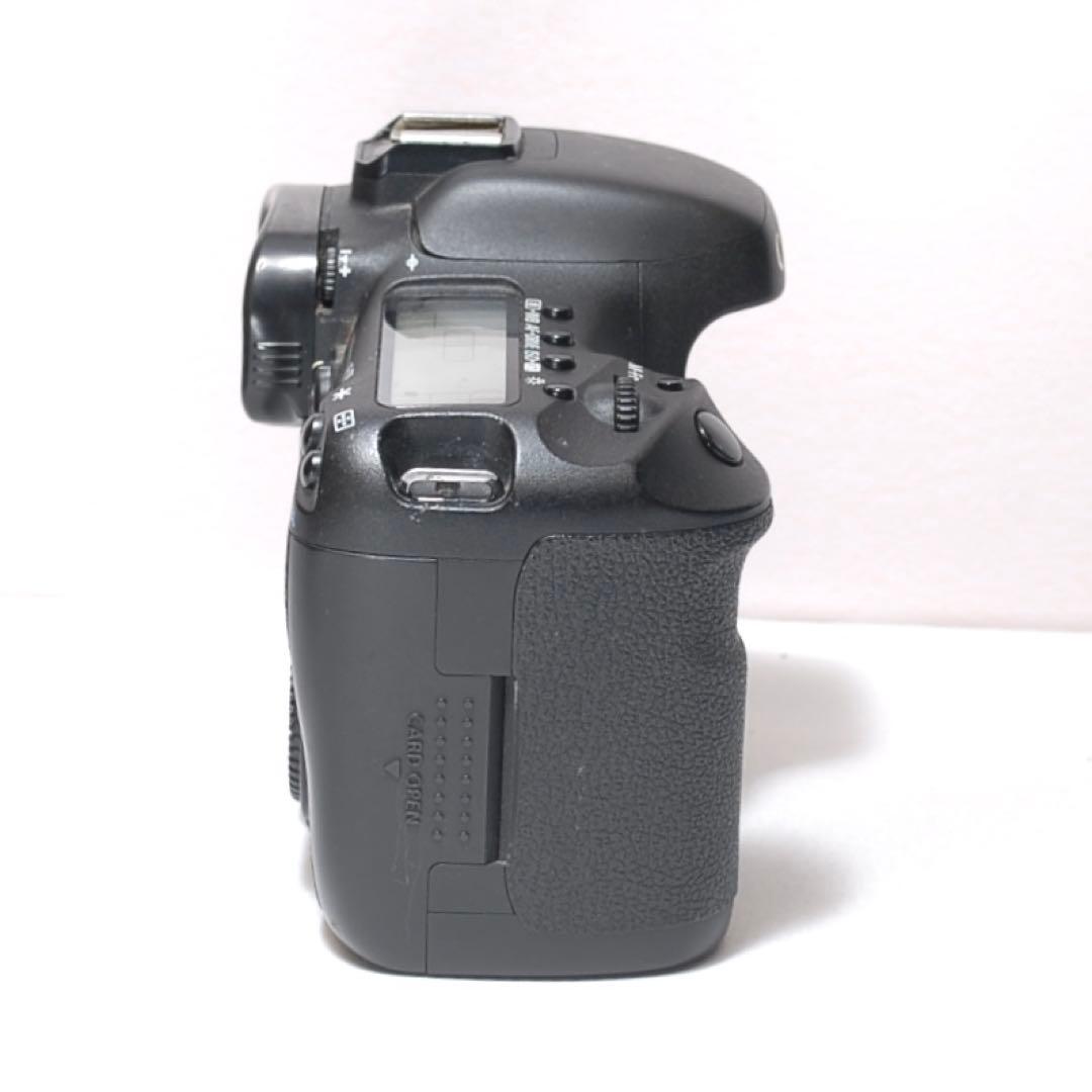 高速連写機能✨Canon EOS 7D✨超望遠レンズセット✨スポーツ観戦に