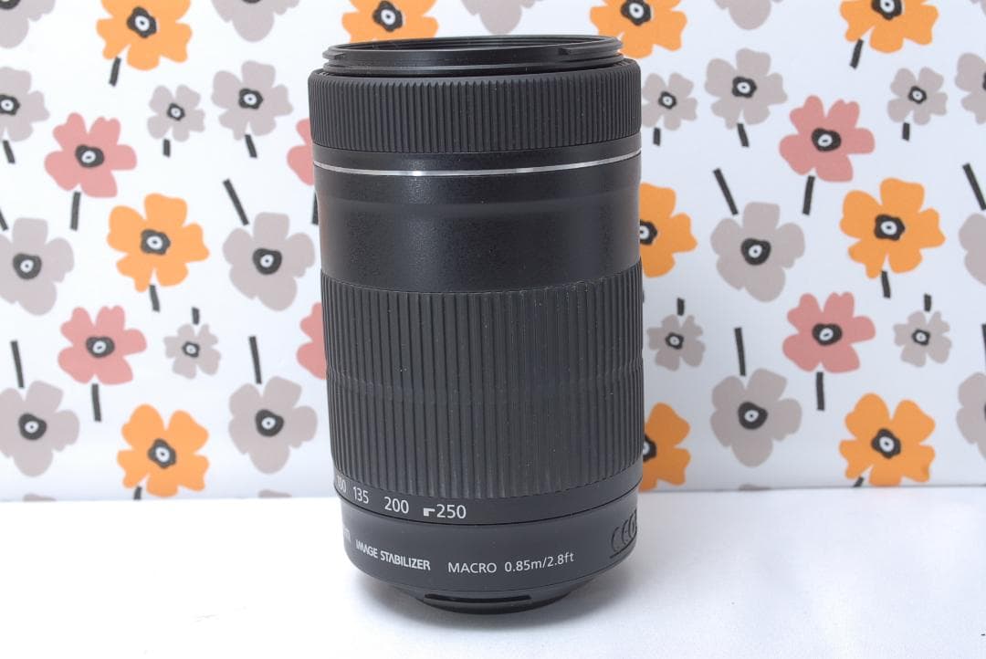 ❤Canon EF-S 55-250mm IS STM❤美品❤超望遠レンズ❤