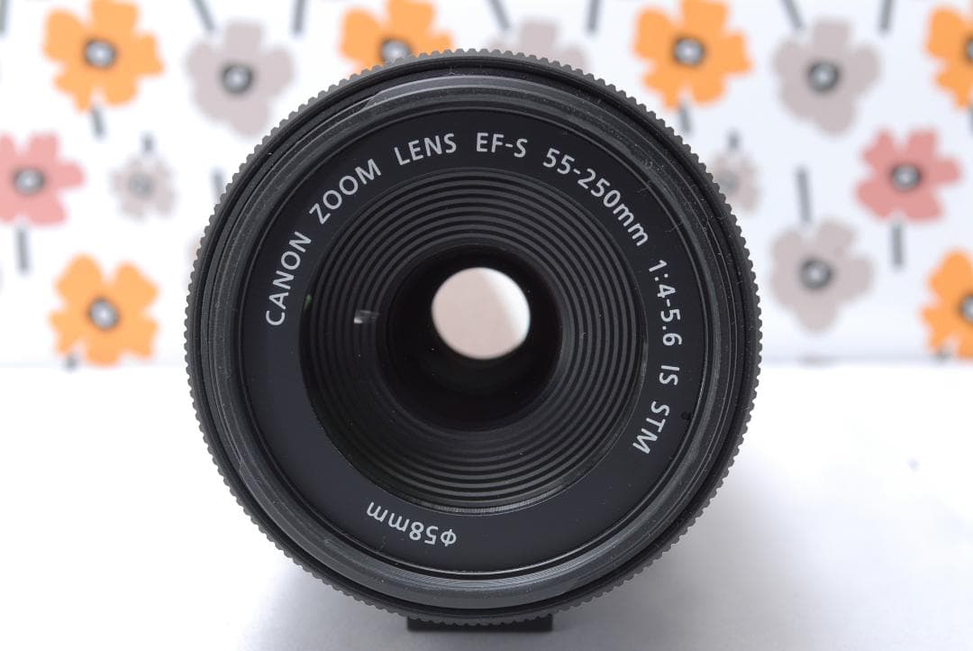 ❤Canon EF-S 55-250mm IS STM❤美品❤超望遠レンズ❤