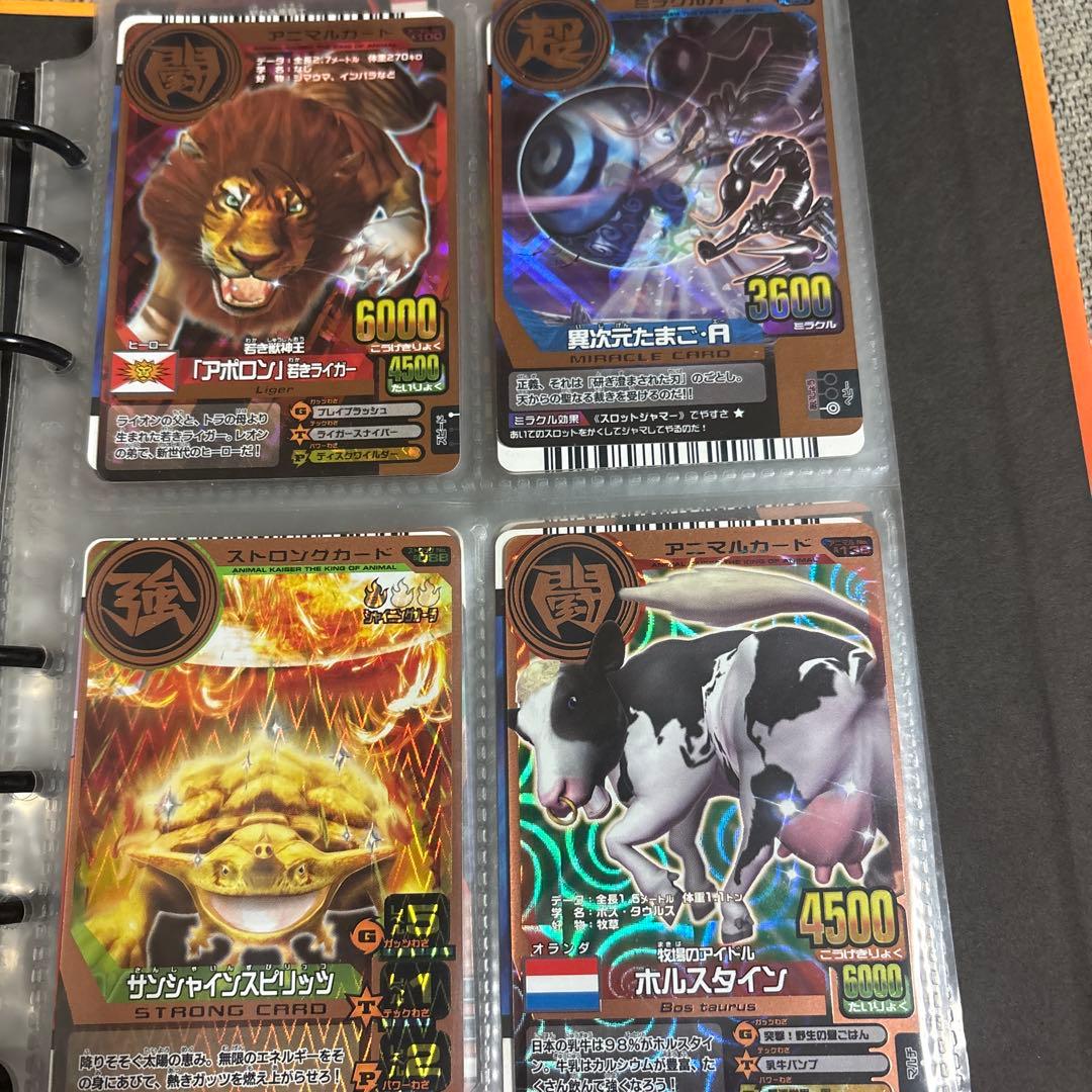 アニマルカイザーデータカードダスセット