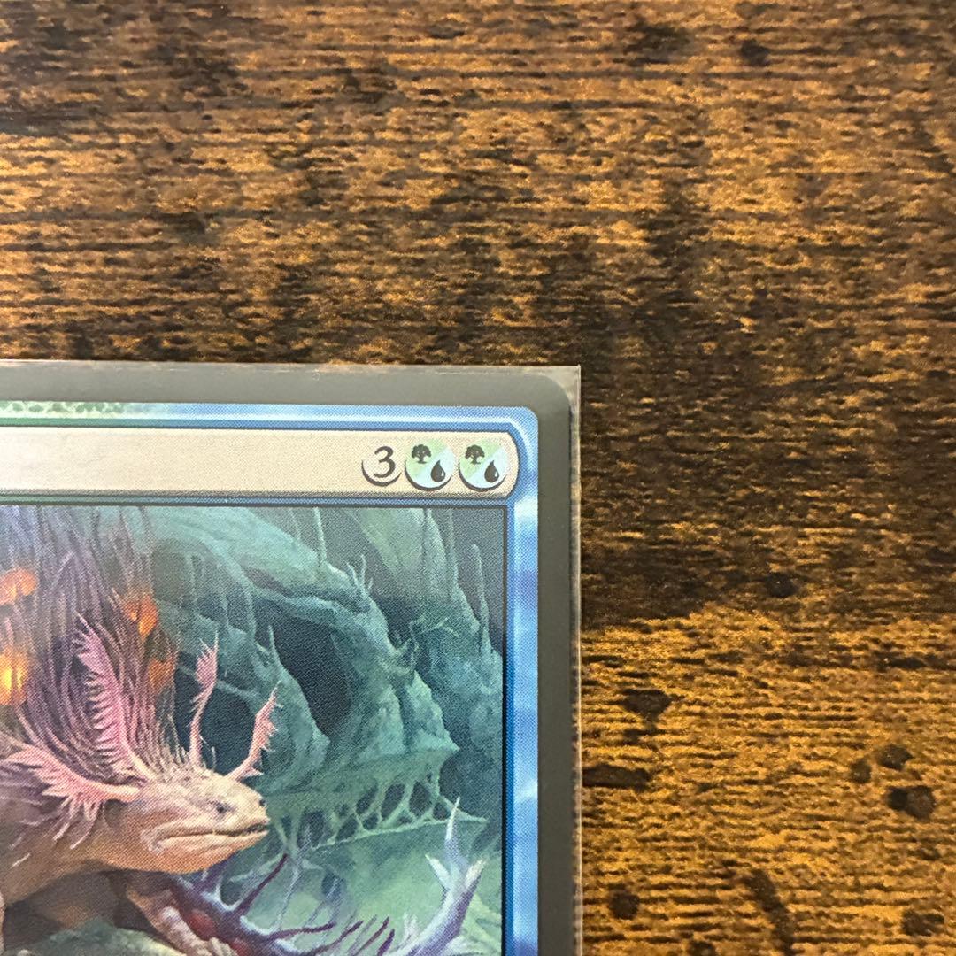 MTG 幽愁 ローウィンの昏明 日本語 1枚