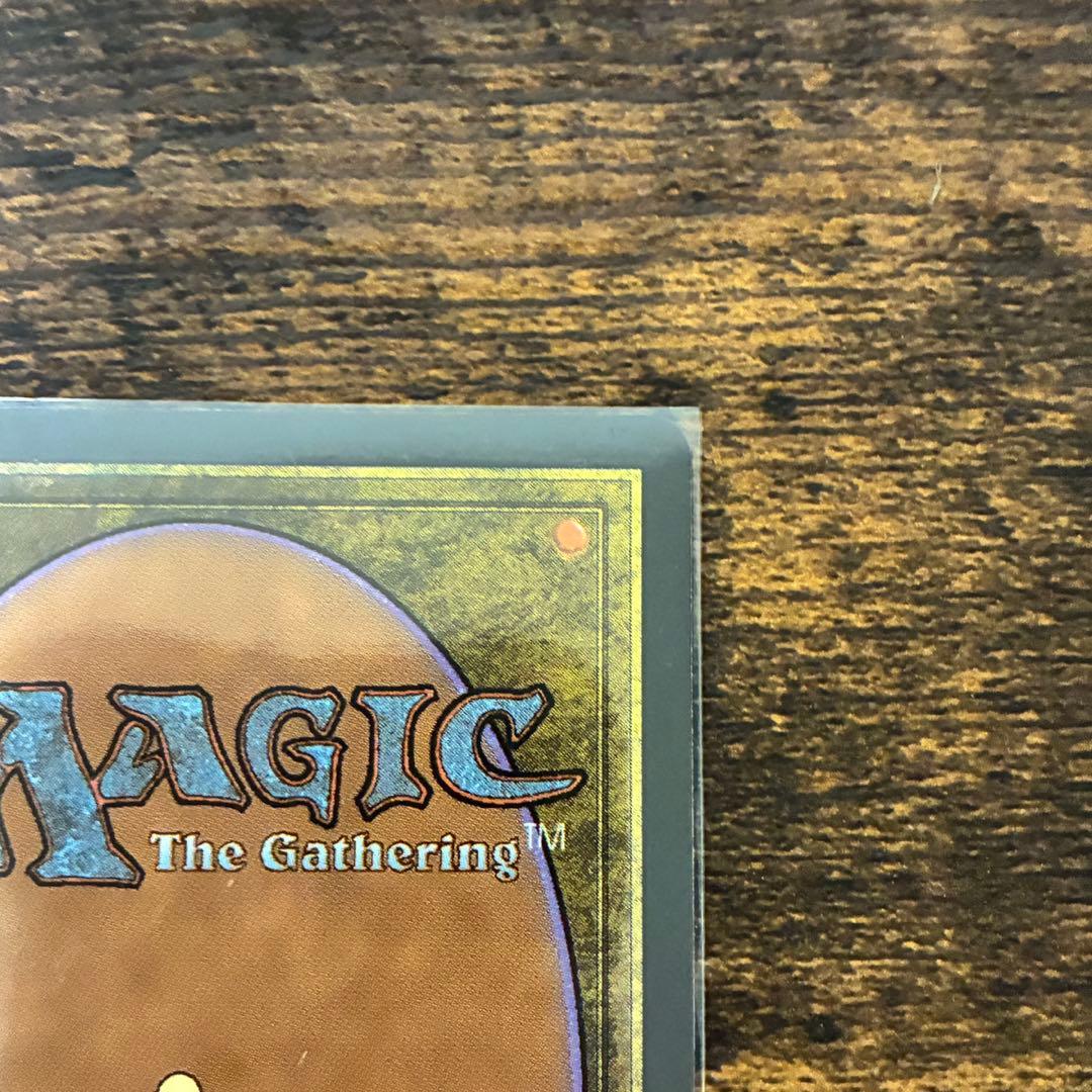 MTG 幽愁 ローウィンの昏明 日本語 1枚