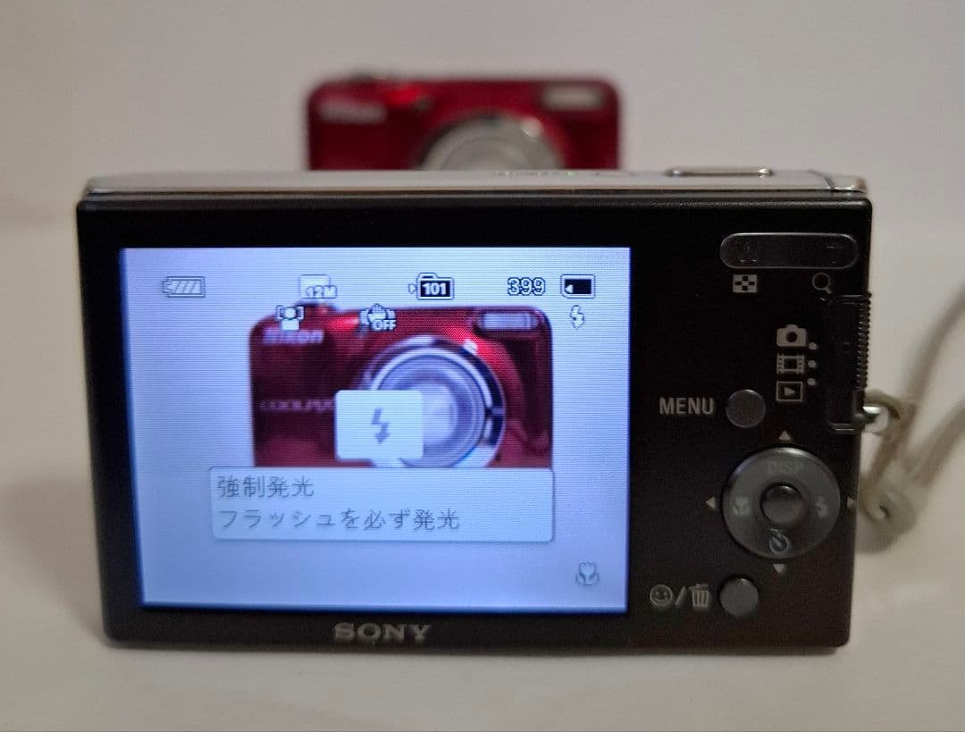 [準美品]ソニー SONY Cyber-Shot DSC-W190 コンデジ