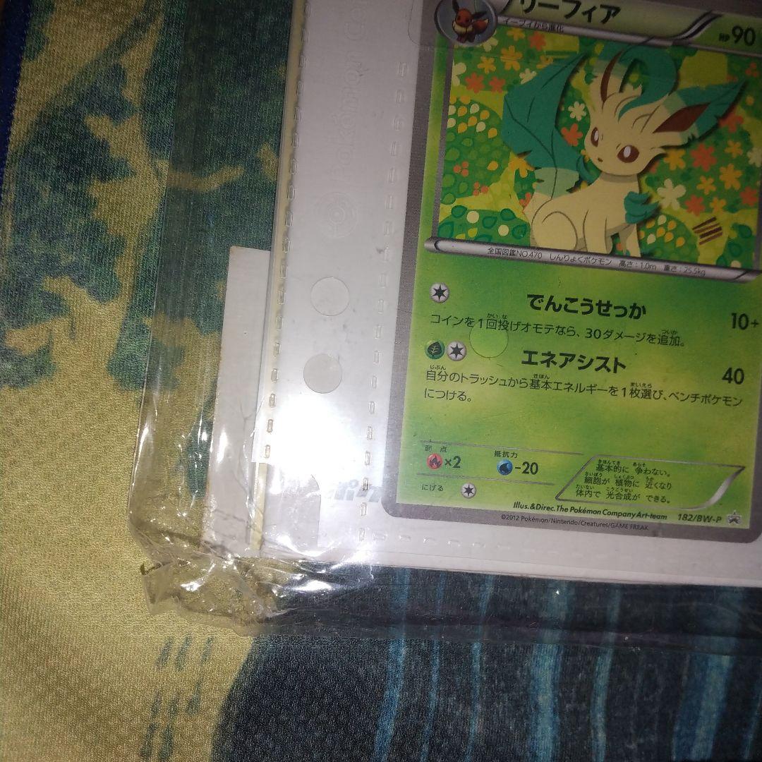 イーブイコレクションファイル ポケモンカードBW ブラッキー イーブイ