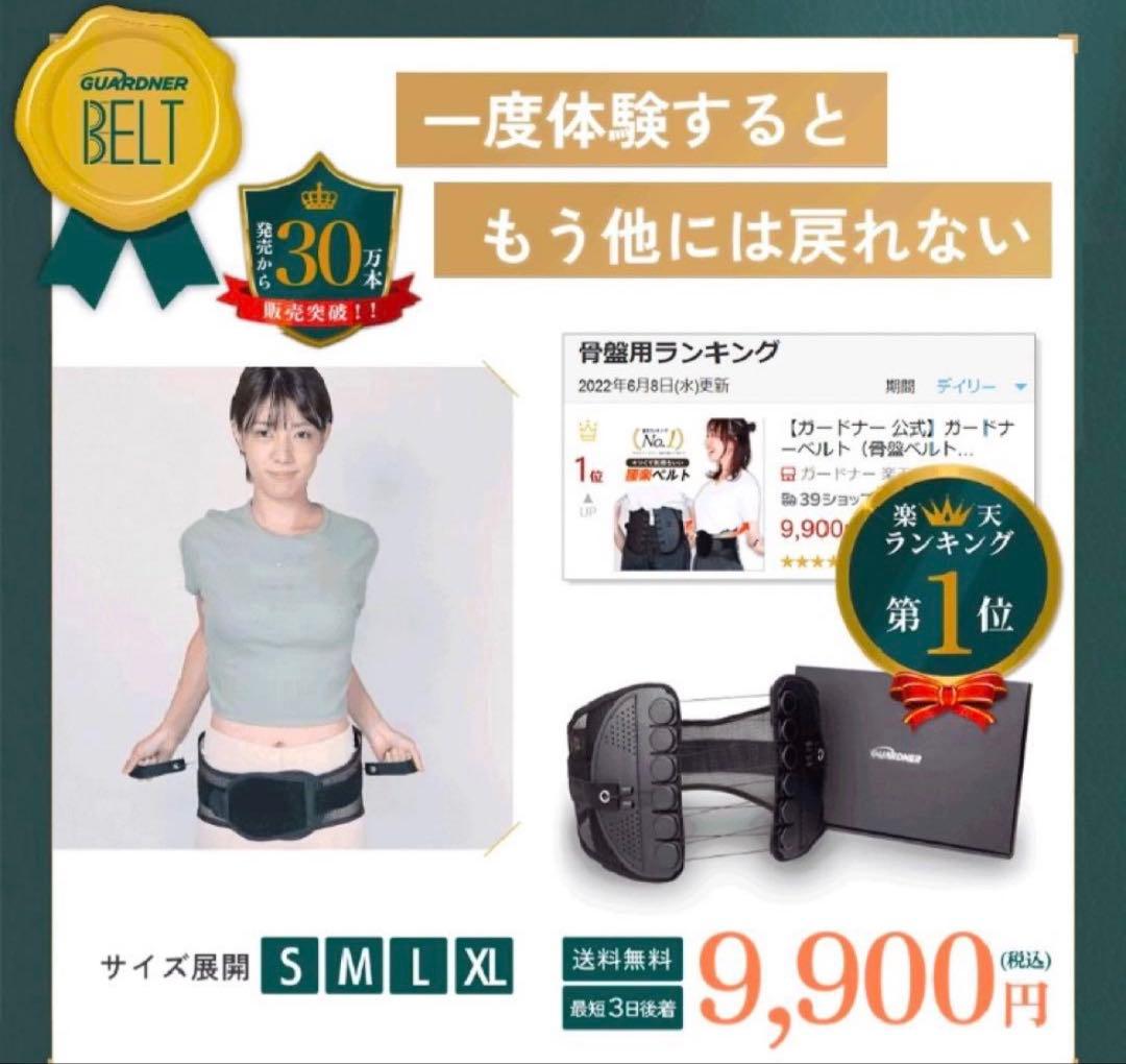 GUARDNER メッシュ腰痛ベルト Mサイズ ブラック