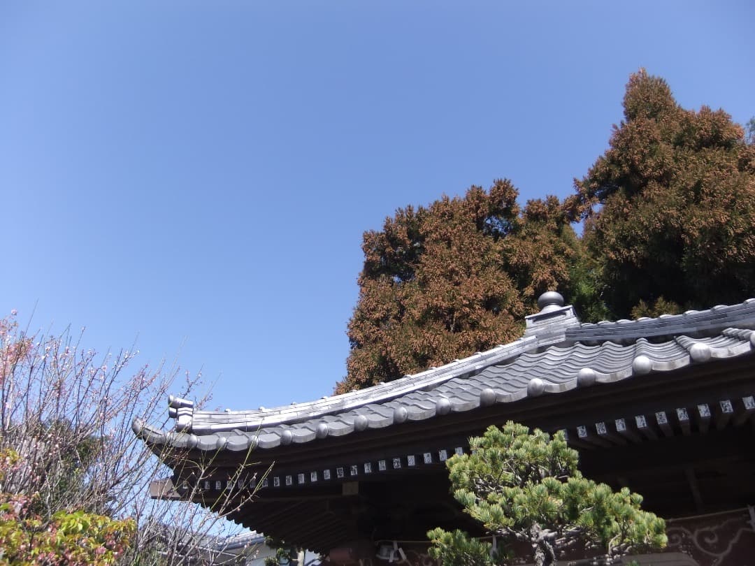 実写美⭕️【動作確認済】 FUJIFILM FinePix JZ300 カメラ