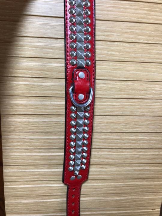 首輪