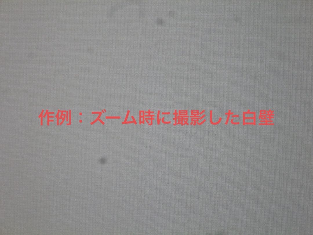 【動作確認済】Panasonic パナソニック LUMIX DMC-FX77 金