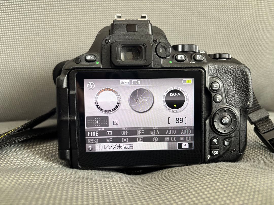 【美品】【お得！】Nikon D5500 レンズキット