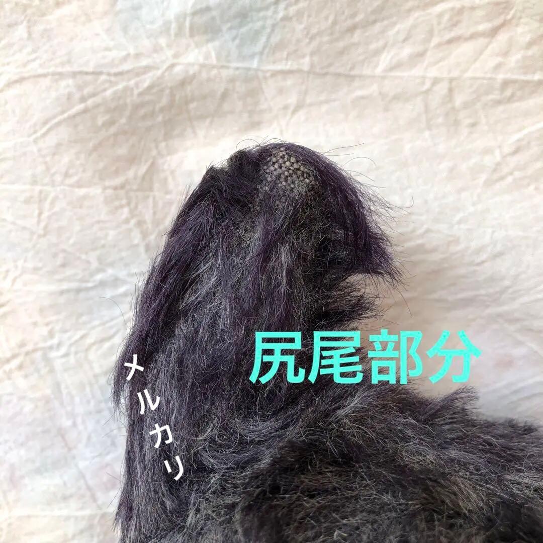 アンティーク　犬　Farnell ファーネル社 リトル　スコティッシュテリア