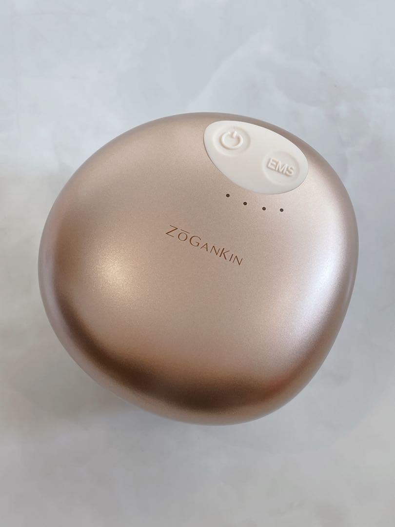 未使用品! ZOGANKIN ゾーガンキン スカルプ EMS スカルプブラシ