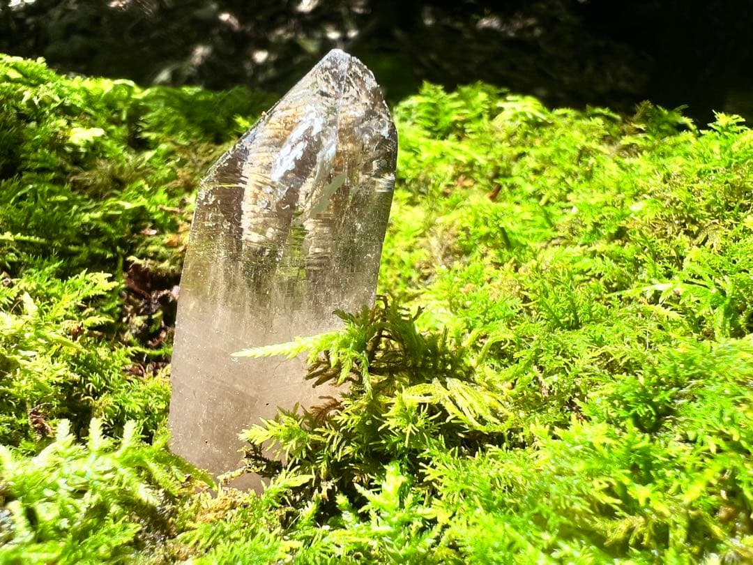 龍脈の精髄 煙水晶 大地と魂をつなぐ守護の石 売上一部保護猫活動に使用