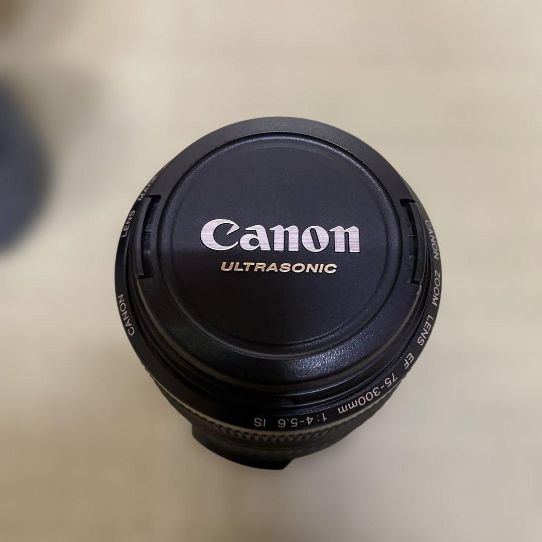 Canon EF 75-300mm f/4-5.6 IS USM ズームレンズ