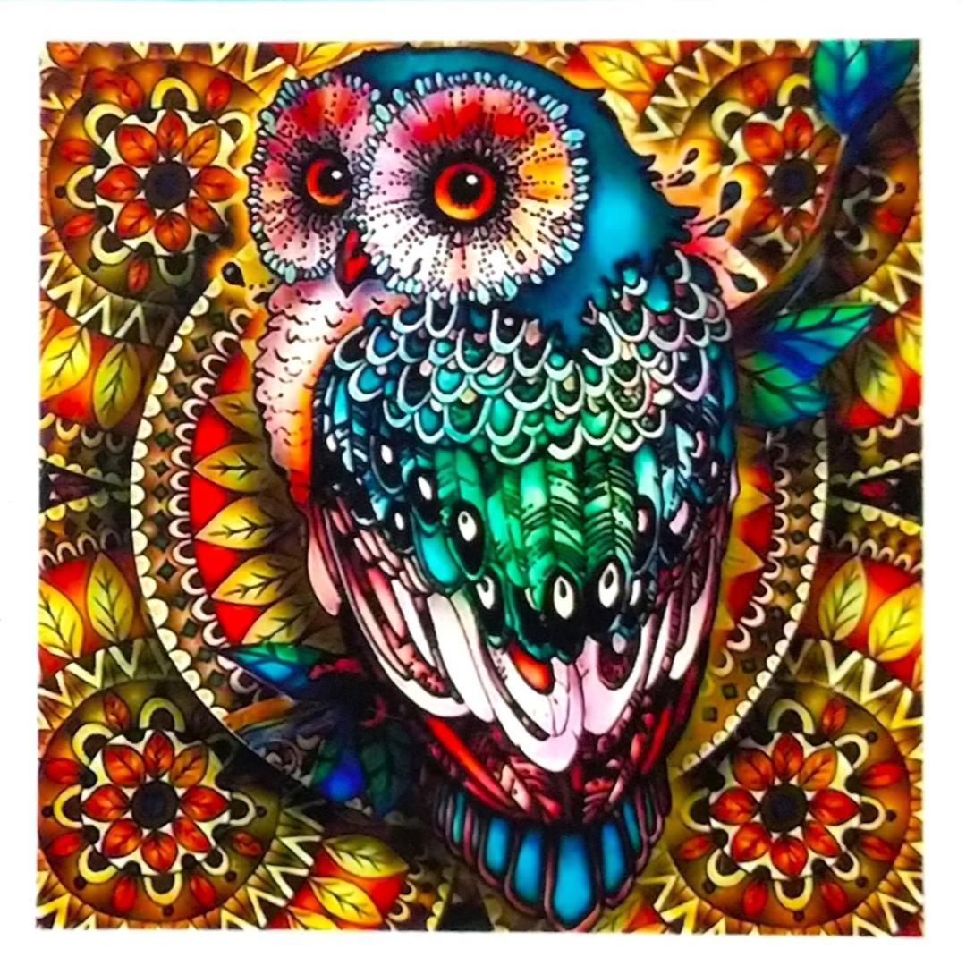 ダイヤモンドアート キット Bright owl フクロウ 40х40