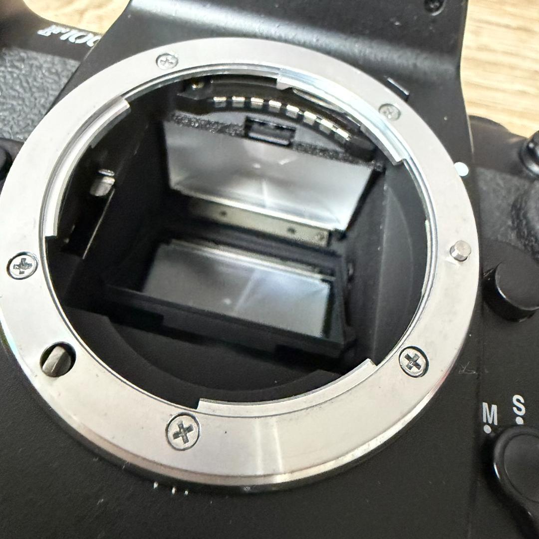 777705/NIKON F100 ボディ ブラック ニコン