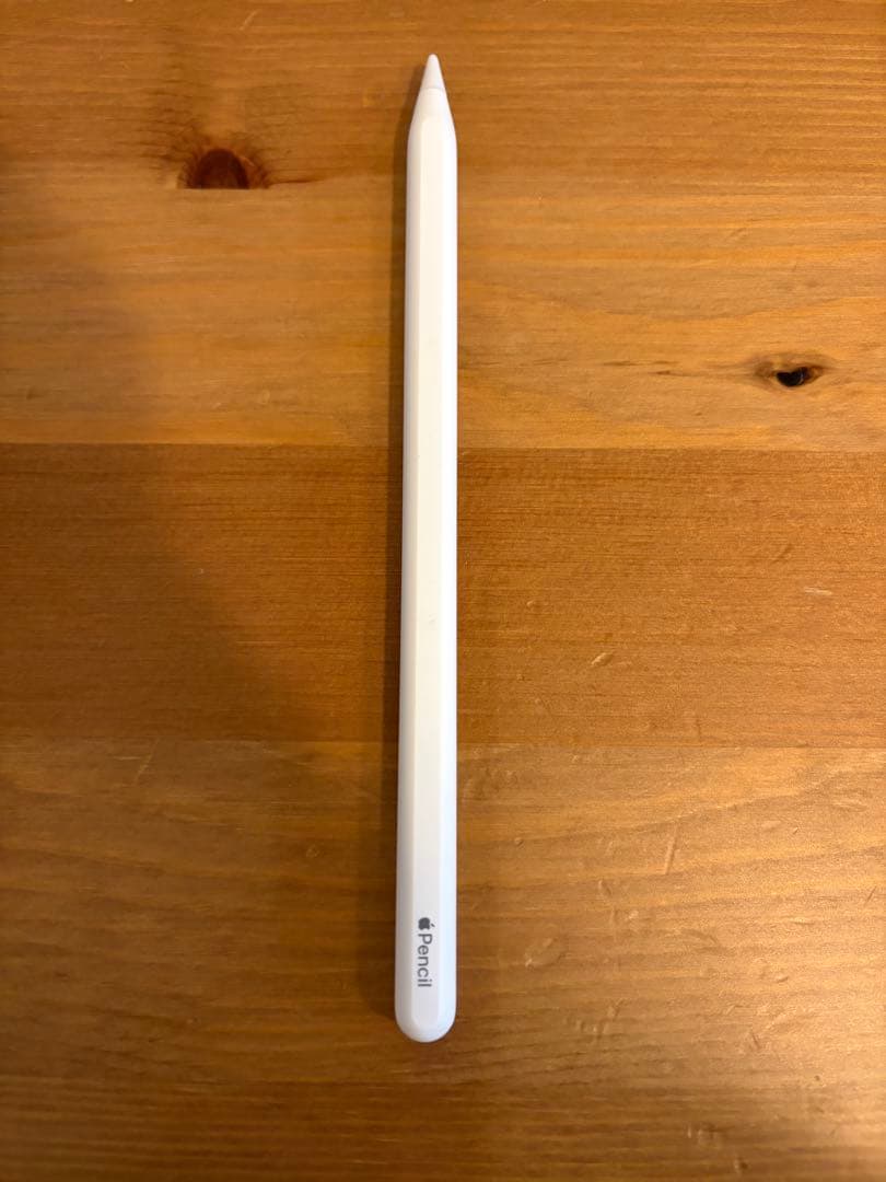 iPad Pro 第三世代　本体 Apple Pencil付き