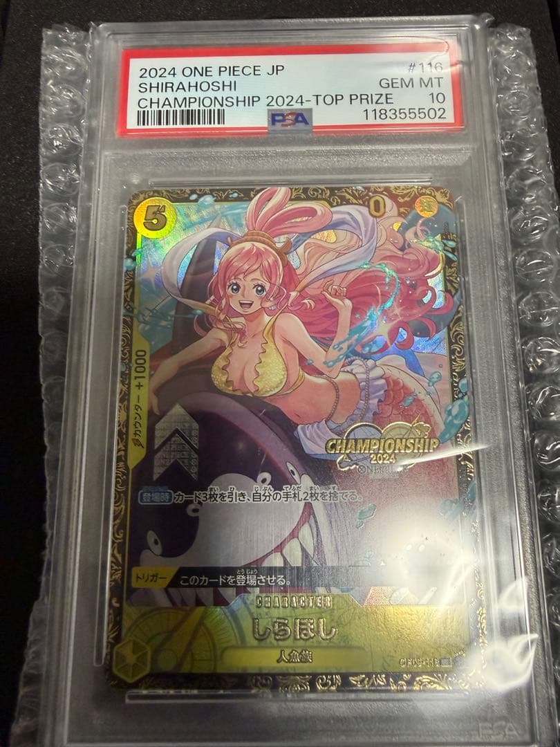 PSA10 しらほし チャンピオンシップ