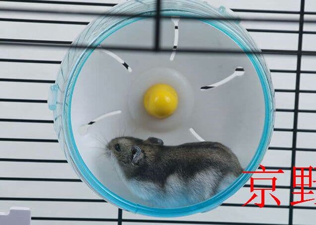 ハムスターのハウス ハムスターケージ 回し車?給水ボトル?食器?階段付き京野Q