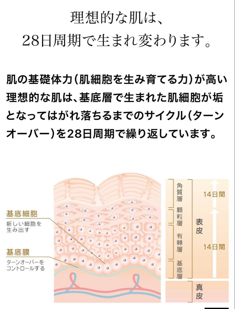 ミキティプログラム28【新品】シャンソン化粧品