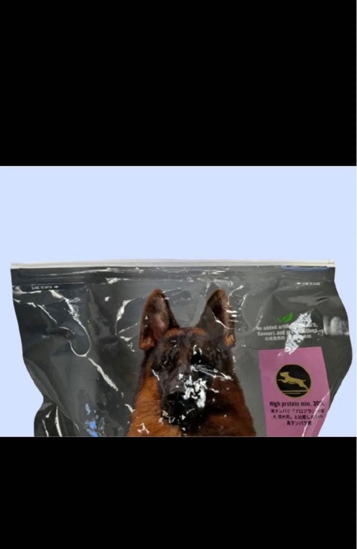 【訳あり】★ピュリナ　プロプラン全犬種　全年齢用パフォーマンスサポート★20kg