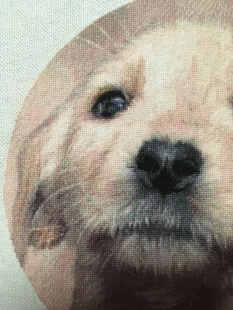 ラブラドールの仔犬　クロスステッチ刺繍完成品　(HAED社　25C) 額付き