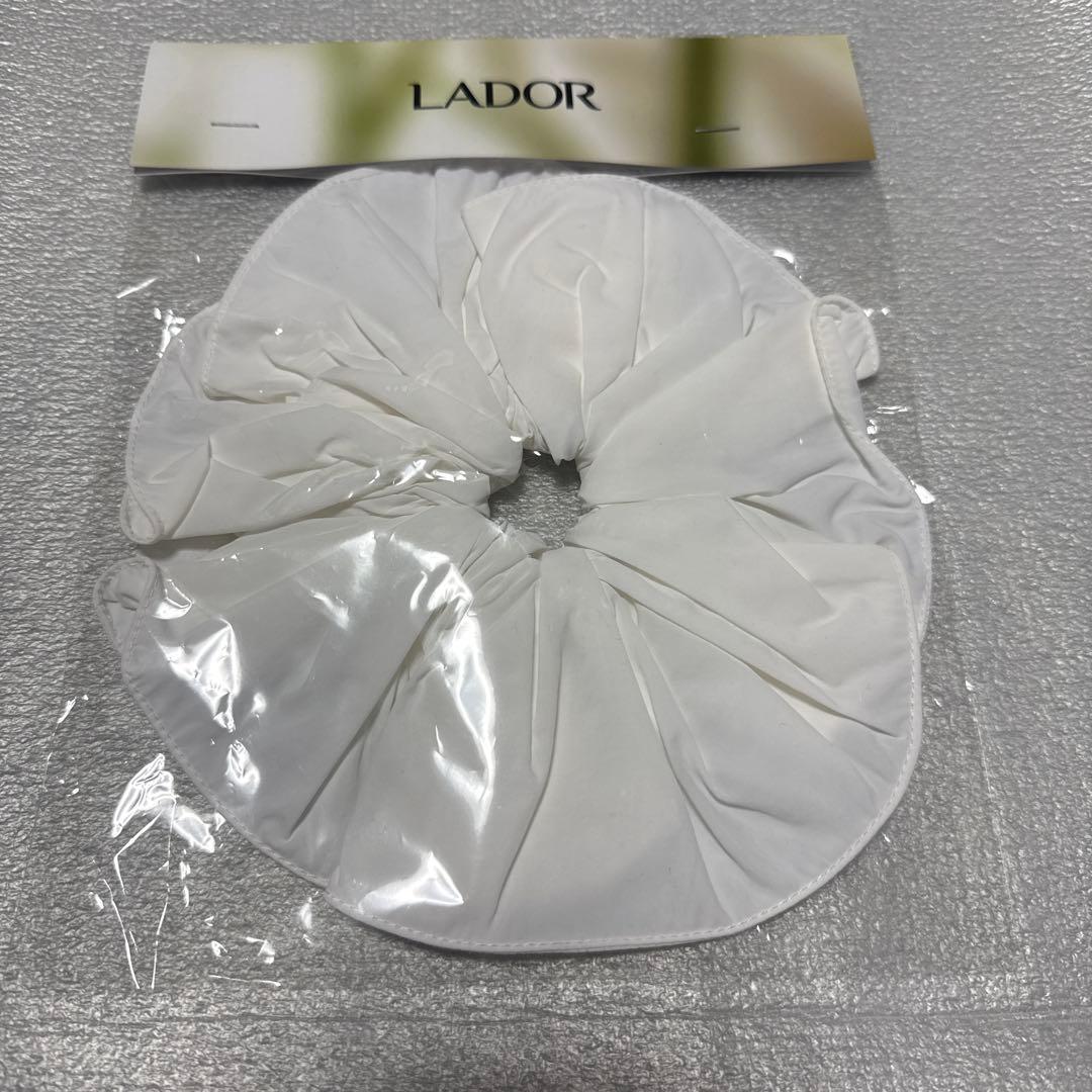 Lador ジミン ラドール ミニフォトブック付き