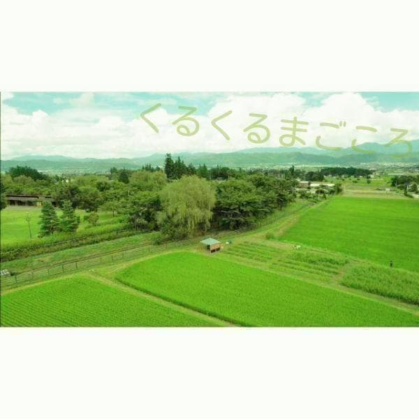 乾燥よもぎ 7g×242パック 1.7kg 大容量！ 入浴 蒸し 足湯 3