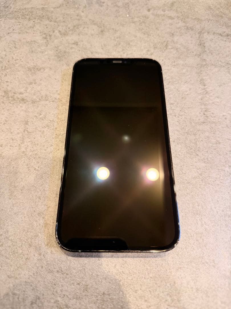 Apple iPhone 12 Pro Max パシフィックブルー 256GB
