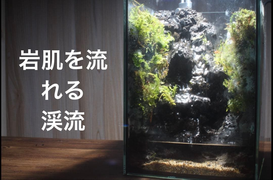 岩肌を水が流れ落ちる渓流　アクアテラリウム