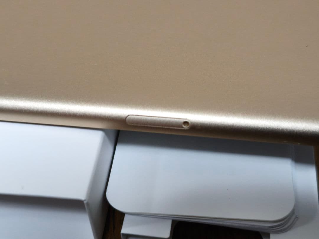 iPad Pro 9.7インチ256GB SIMフリー+Apple Pencil