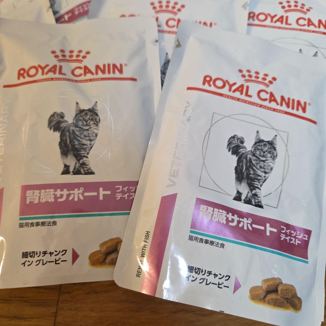  CANIN 腎臓サポート フィッシュテイスト 85g×12パック