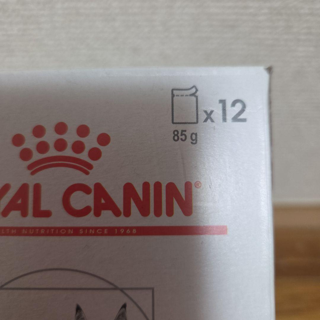  CANIN 腎臓サポート フィッシュテイスト 85g×12パック