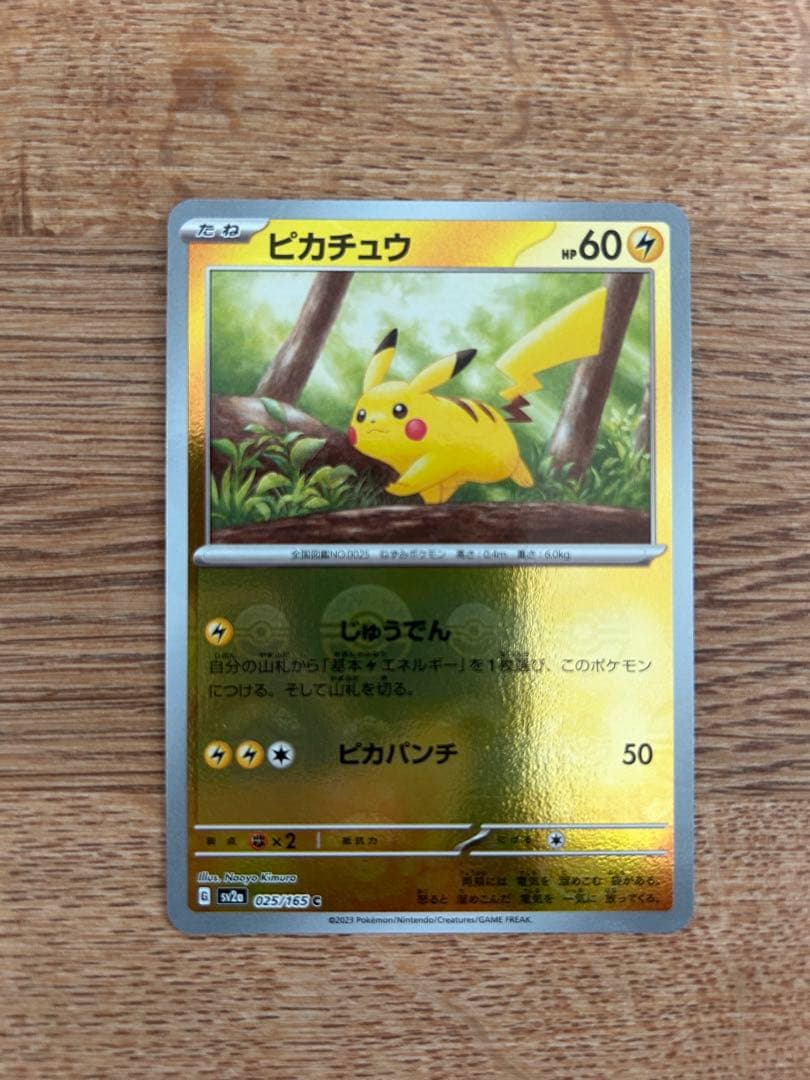 ピカチュウ ピカダッシュ　たいでん　モンスターボール　ミラー
