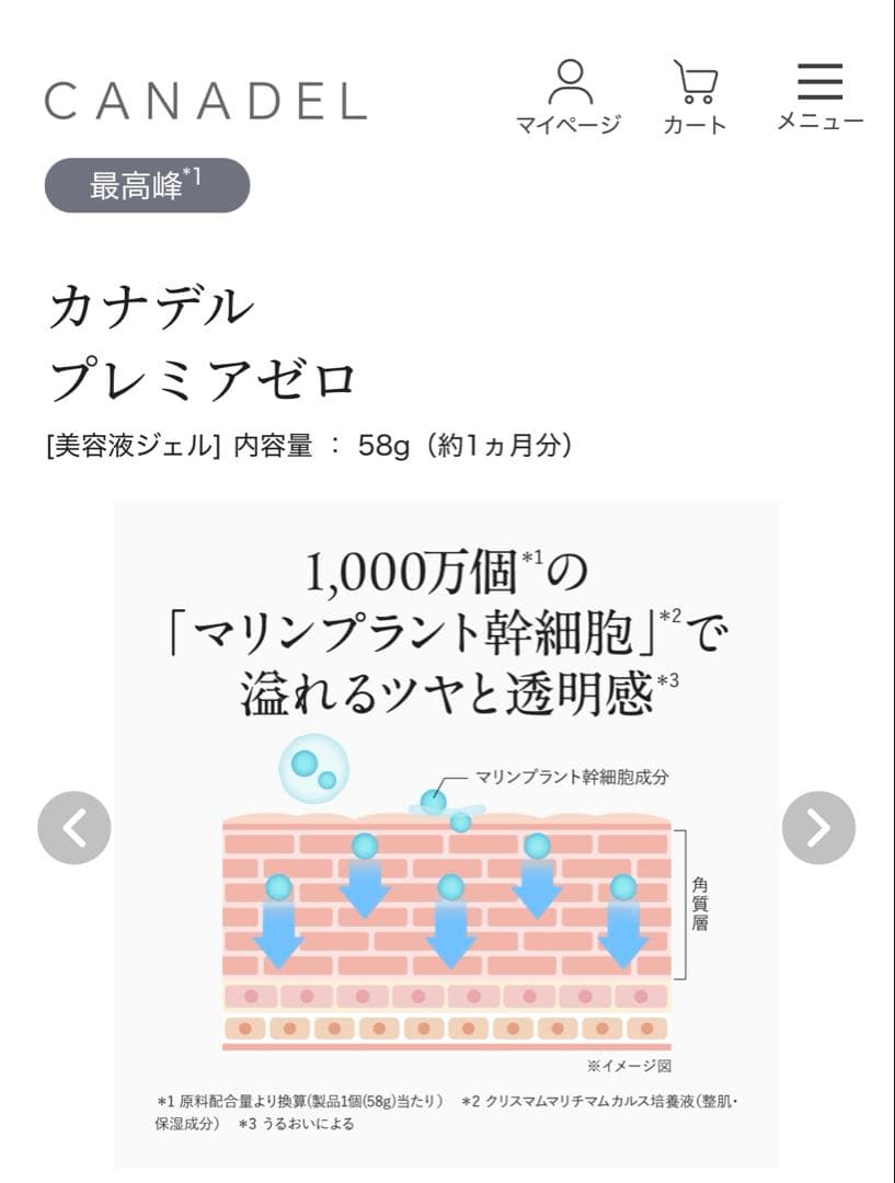 カナデル　プレミアゼロ　オールインワン 美容液ジェル　つけかえ用レフィル2箱