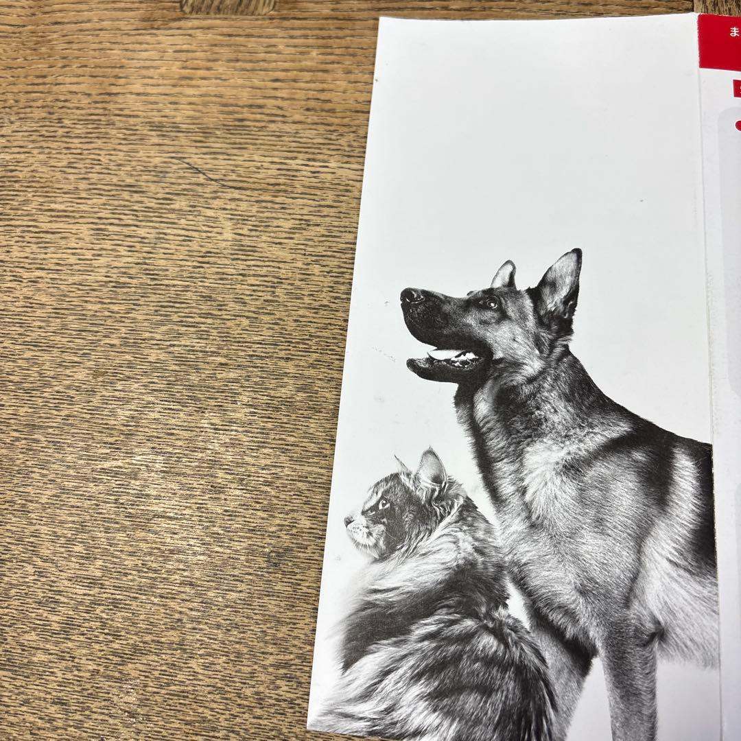 CANIN MULTIFUNCTIONユリナリーS/O CLT2kg