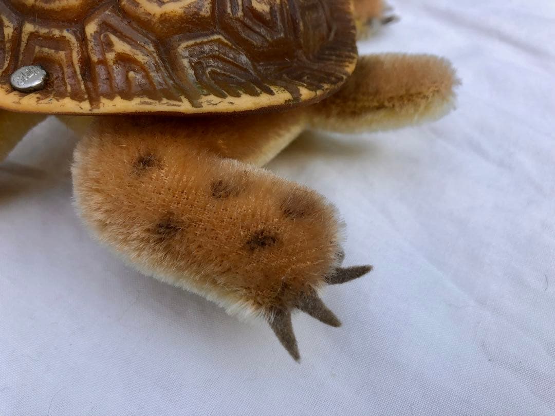 Steiff カメのSlo
