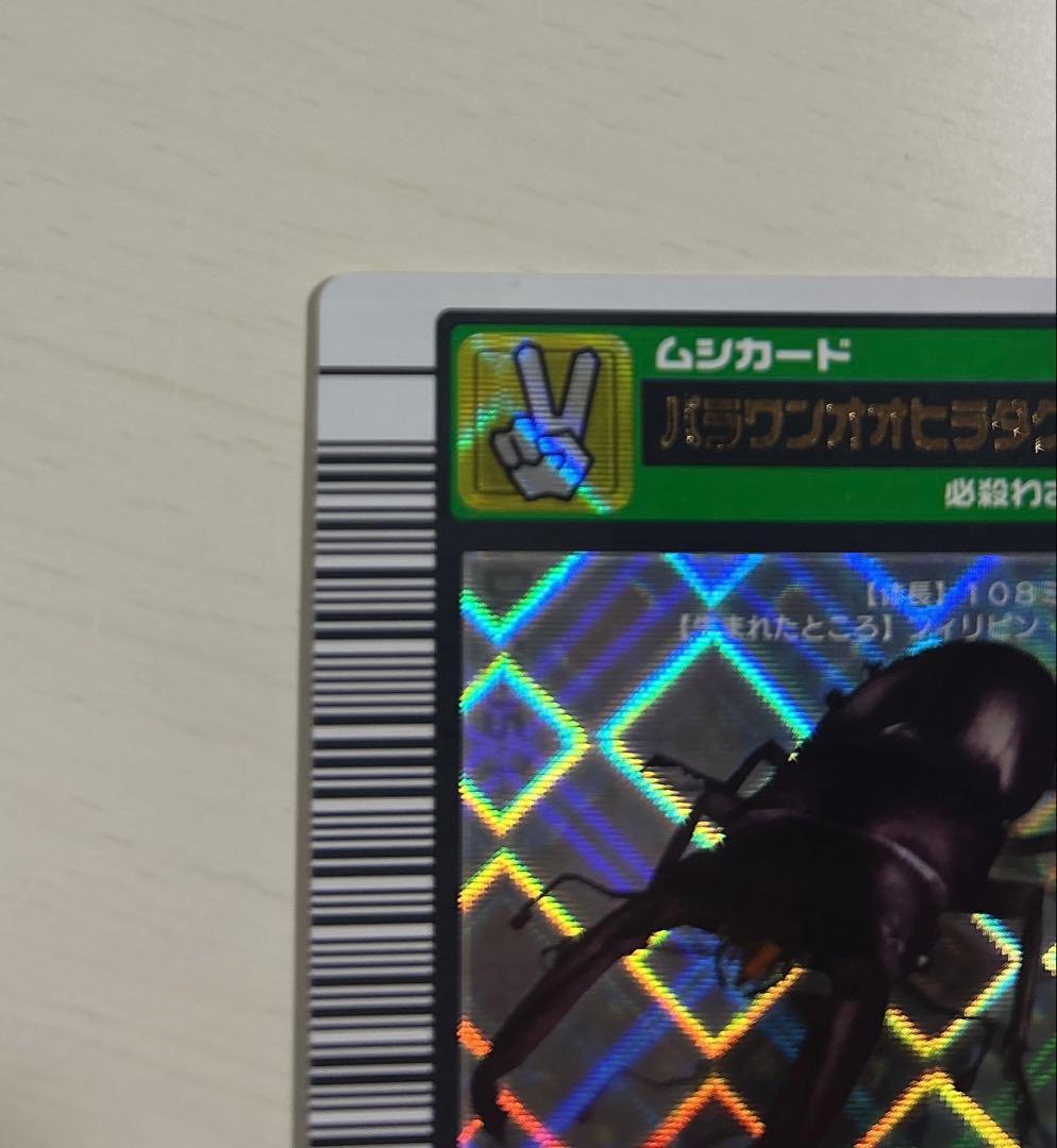 パラワンオオヒラタクワガタ 2003 summer 甲虫王者ムシキング
