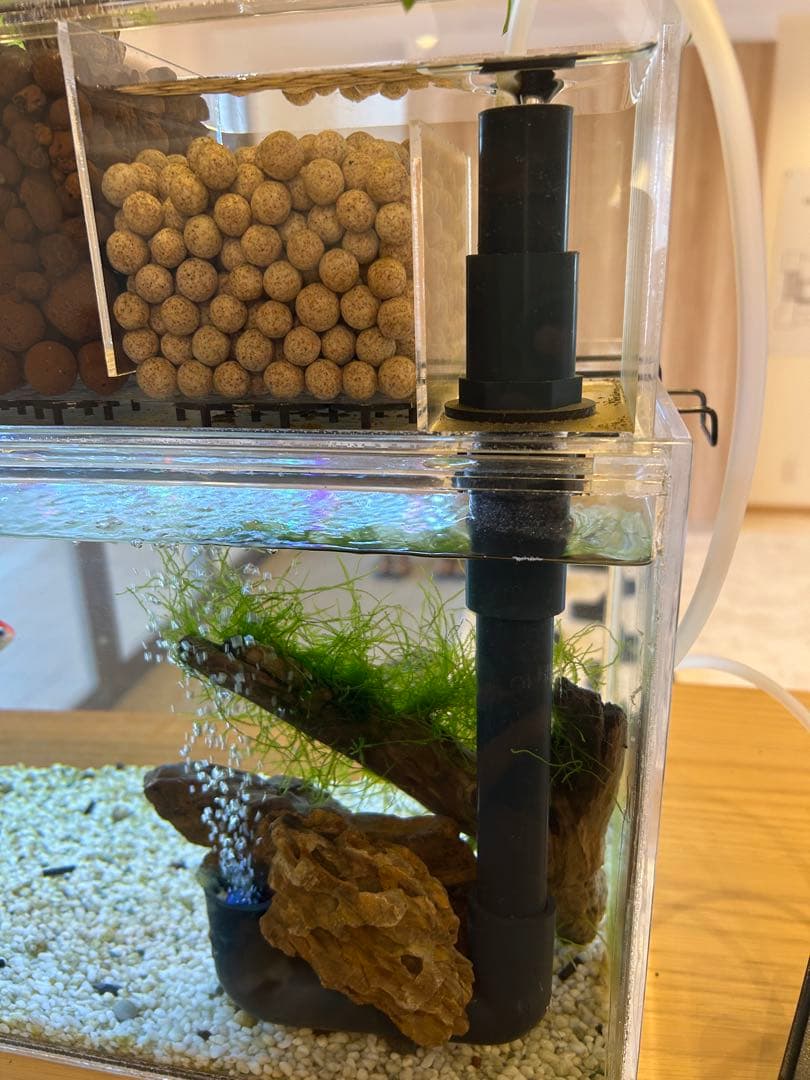 【特価】30cmガラス水槽用上部濾過槽