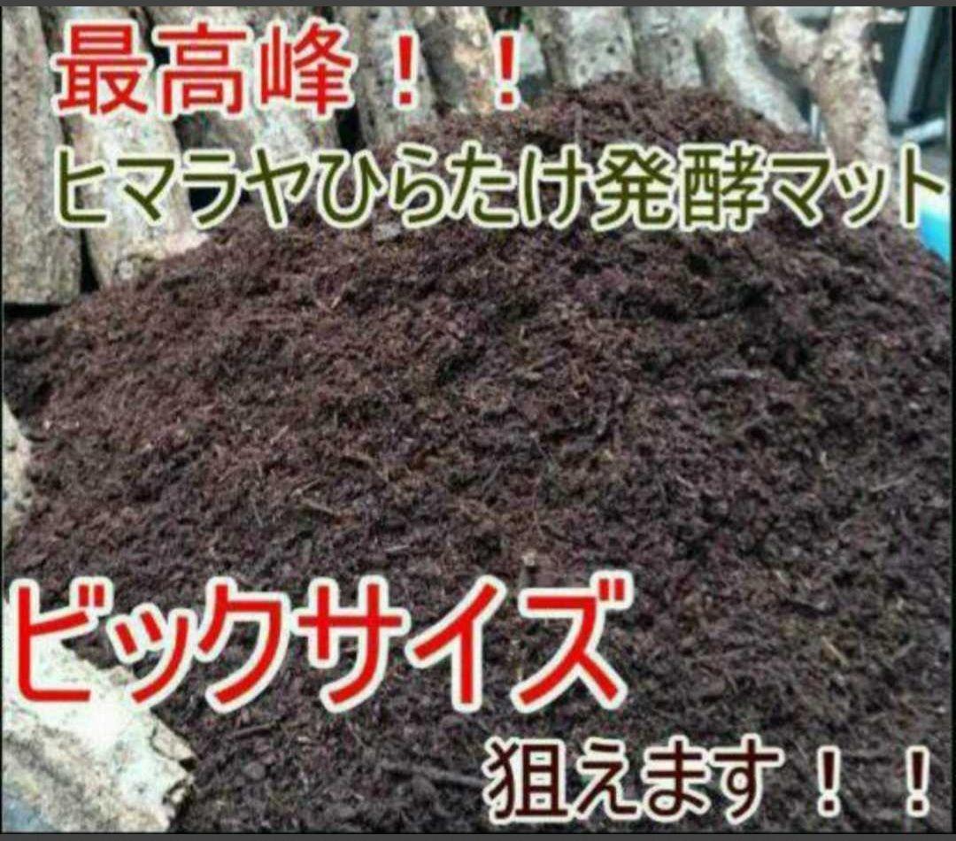 国産カブトムシ幼虫専用　発酵マット【120L】88ミリ羽化実績多数！産卵にも抜群