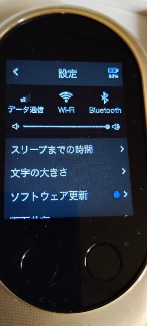 POCKETALK W1PGG ゴールド 翻訳機