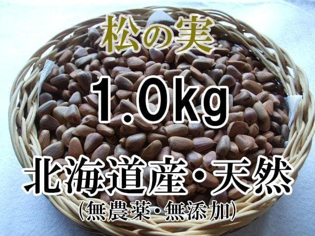 【リス オウムのおやつ】 北海道産 天然 松の実 1.0kg 手作業・こだわり