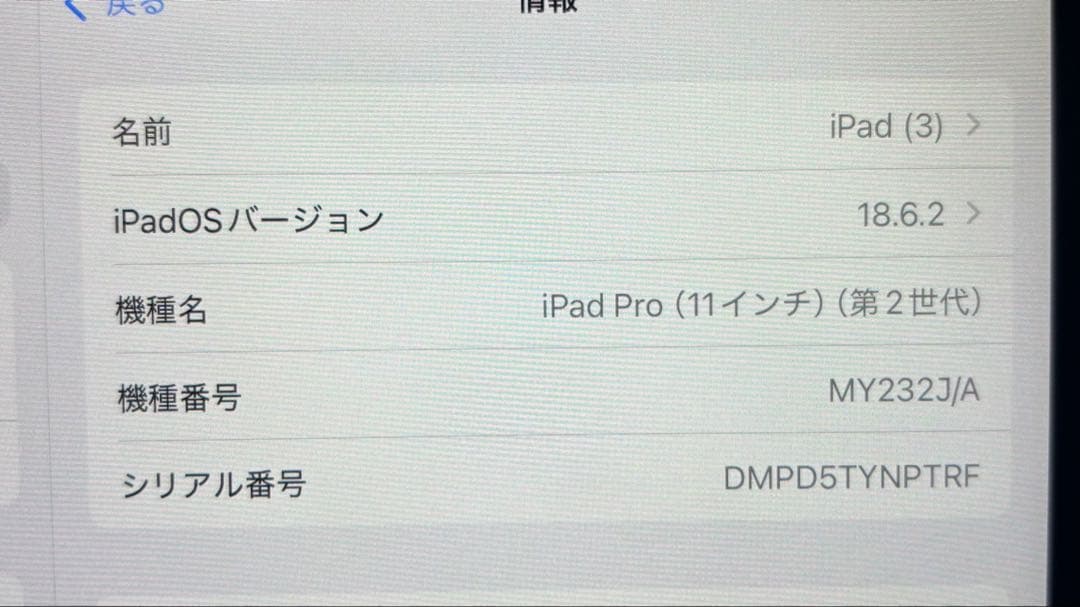 Apple iPad Pro (第2世代)11インチ スペースグレー　128GB