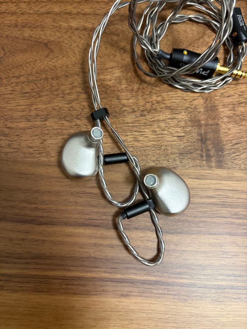 VISION EARS 魔王