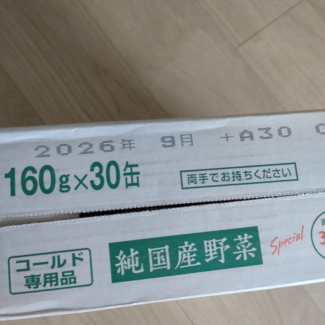 伊藤園純国産野菜ジュース Special 160g×30缶　２ケース