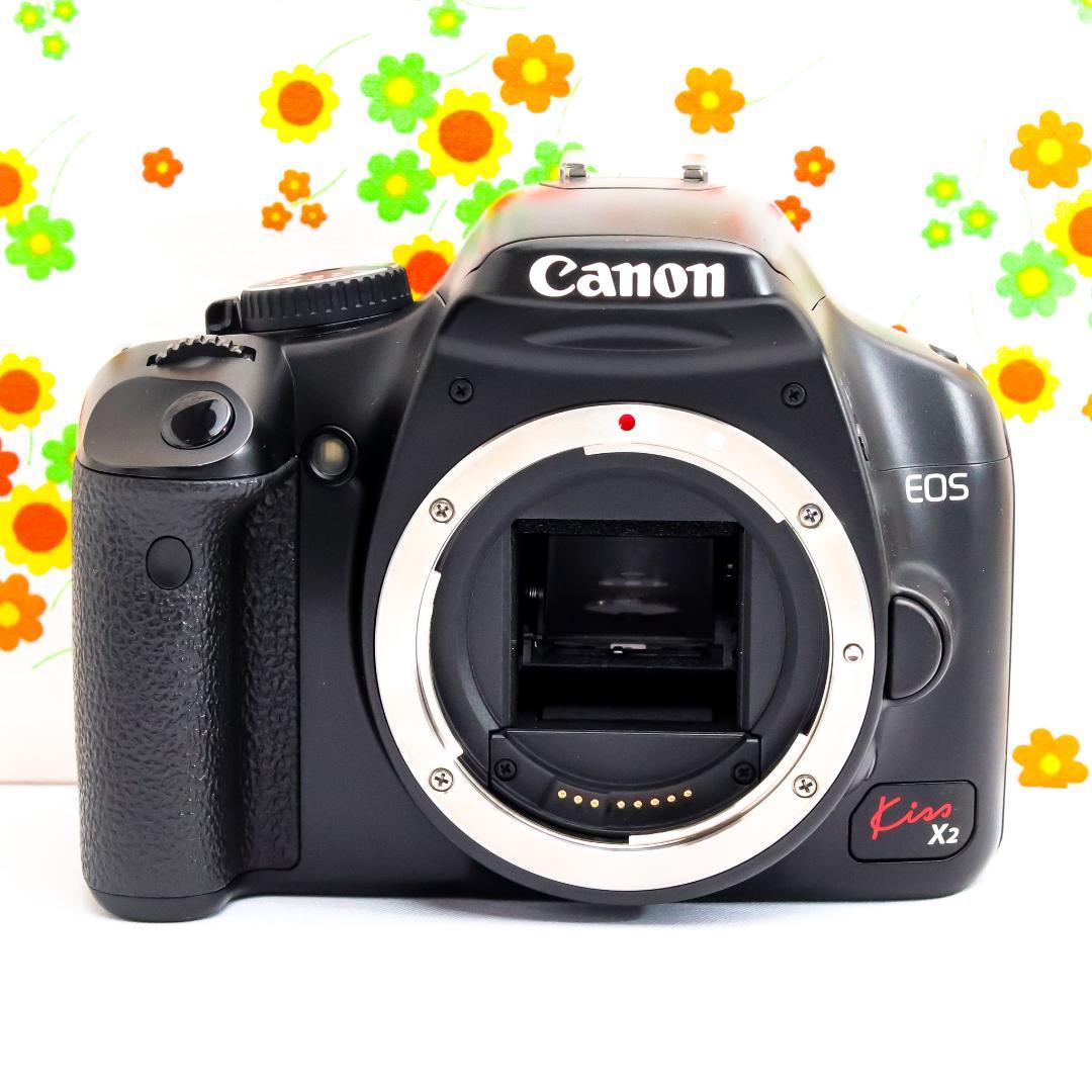 キャノン Canon kiss x2☆スマホに転送☆お手軽一眼レフ♪☆動作確認済