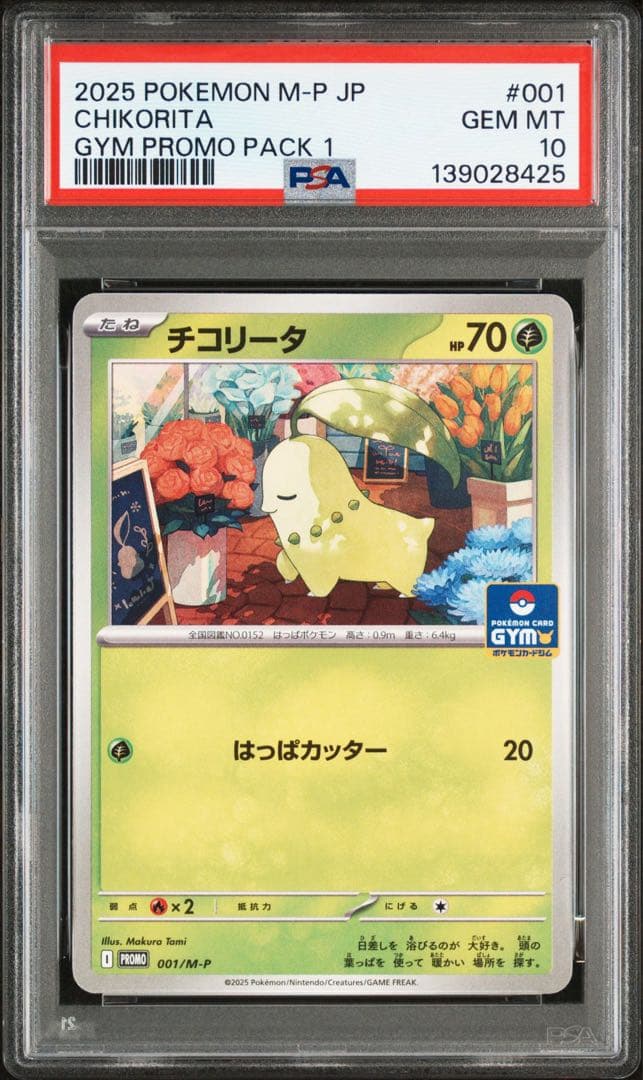 目玉PSA‼️　psa10 3連番　チコリータ　ポカブ　ワニノコ　ジム　プロモ