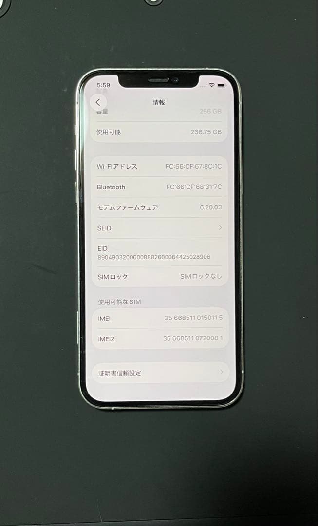 Apple iPhone12Pro 本体 背面ひび割れ